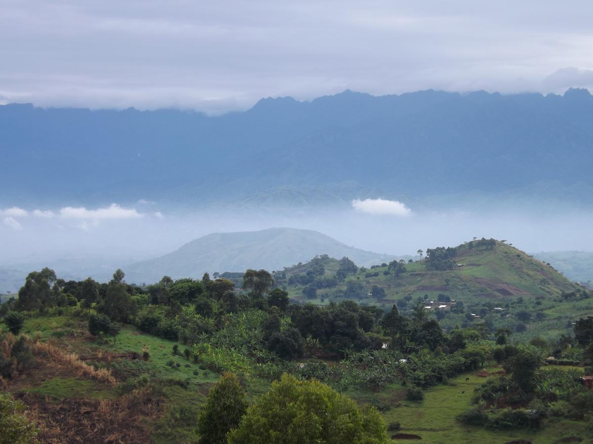 Isunga Lodge Kibale National Park Bagian luar foto